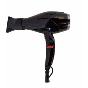 Secador profesional ProgresivoTotal